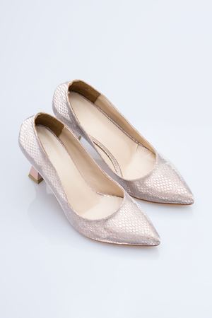 LİZSHOE KADIN ABİYE STİLETTO 70222Y